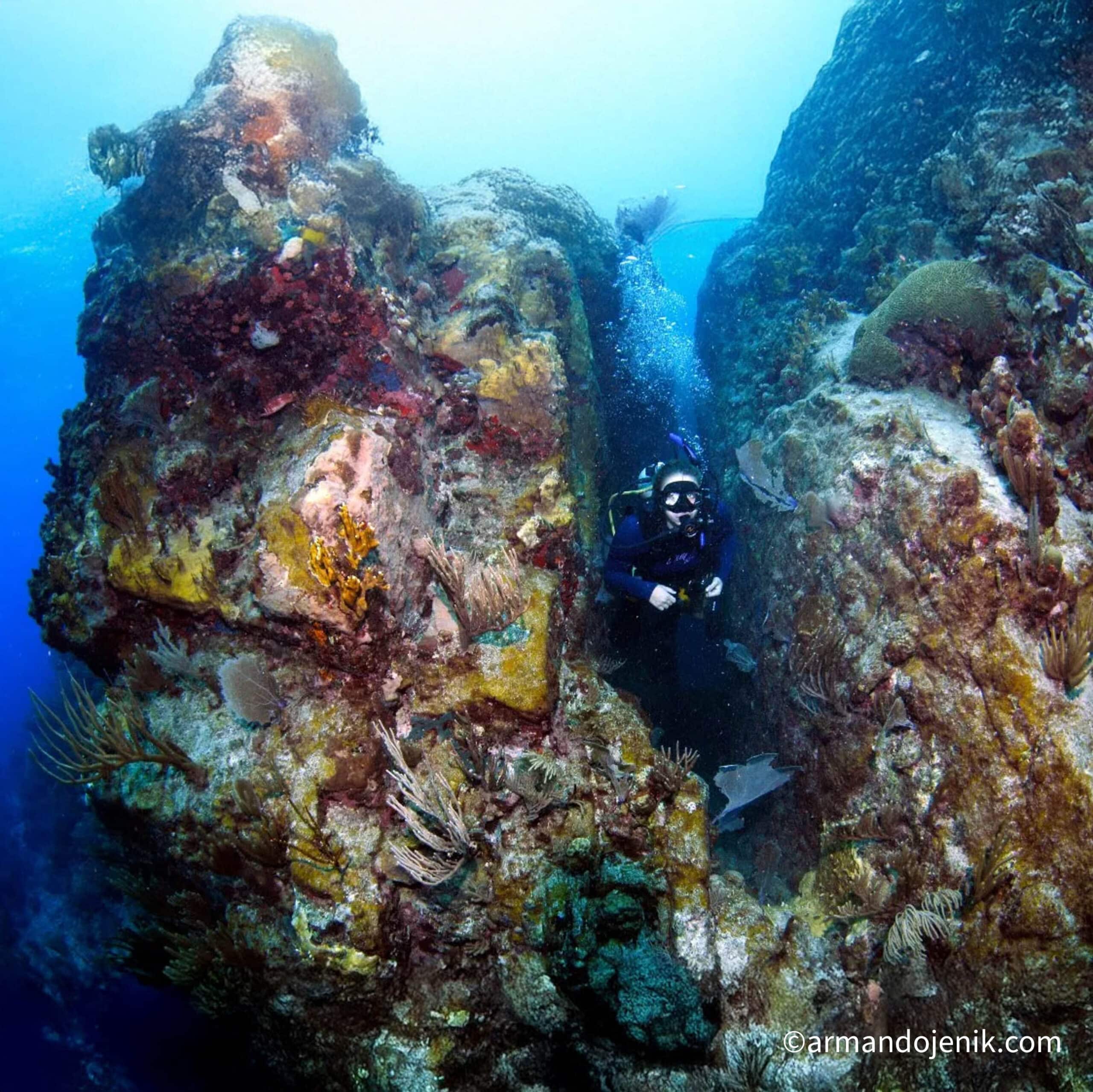 Scuba diver exploring coral reef at Monkey Point, Guana Island, BVI.