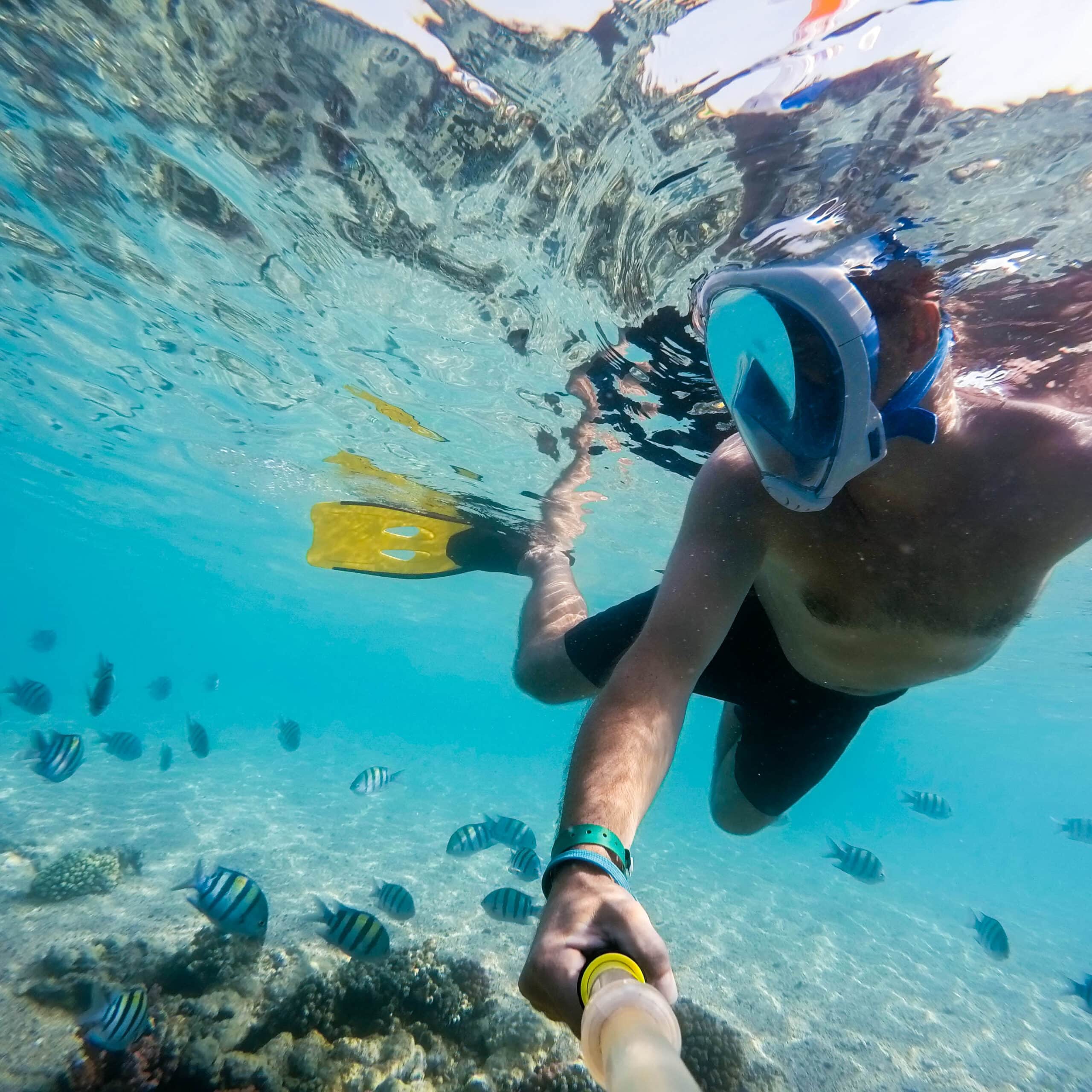 Young Snorkeler at cistern point cooper island bvi.