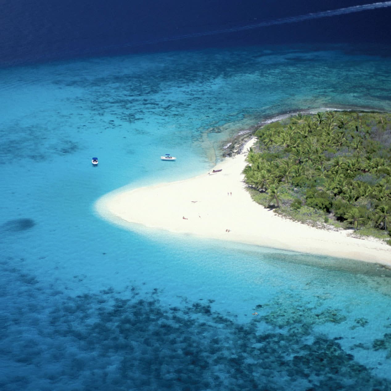 Sandy Cay BVI beach and anchorage is a popular snorkeling spot and picnic beach during our private day tours.